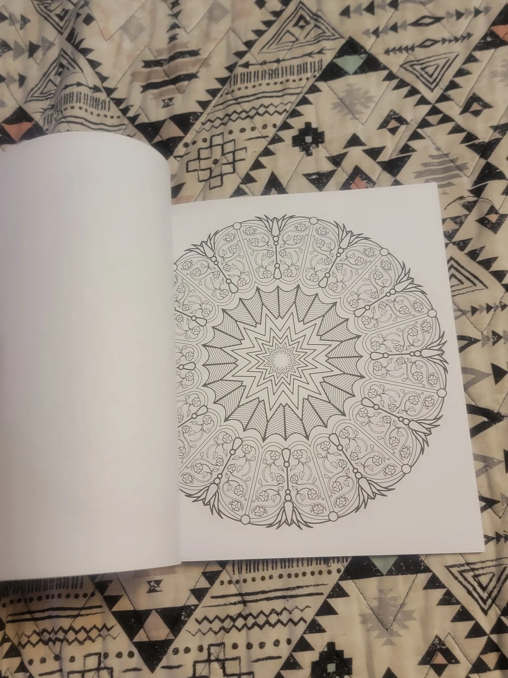 The Art of Mandala Adult Coloring Book by Jason Hamilton - Purple Cover